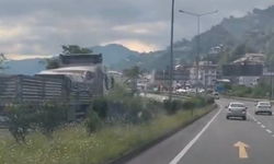 Karadeniz Sahil Yolunda Ters Yönde Giden Kamyon Korkuttu