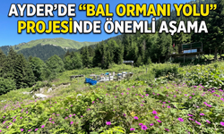 Ayder’de Bal İçin Tarihi Adım
