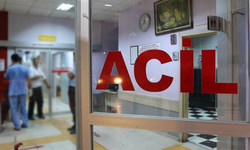 Ordu'da Karbonmonoksit Gazından Zehirlenen Kadın Hayatını Kaybetti