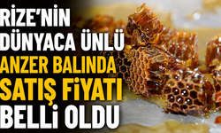 Rize’nin Dünyaca Ünlü Anzer Balında Satış Fiyatı Belli Oldu