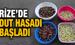 Rize’de Dut Mesaisi Başladı