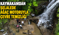 Rize'de Kaymakamdan Şelalede Ağaç Motoruyla Çevre Temizliği
