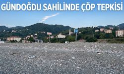 Denize Attıklarımız Sahilde Karşımıza Çıktı