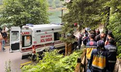 Uzungöl'de Otomobil Yamaçtan Aşağı Uçtu: 2 Yaralı