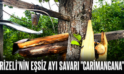 Rizeli'nin Eşi Benzeri Olmayan Ayı Savar Düzeneği ’Carimangana’