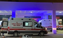 Süt sağmaya giden adam hayatını kaybetti