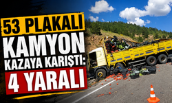Rize plakalı kamyon kazaya karıştı: 4 yaralı