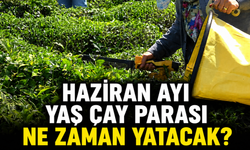ÇAYKUR’da Haziran Ayı Yaş Çay Parası Ödeme Tarihi Netleşti mi?