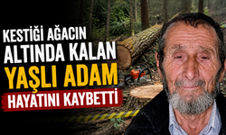 Kestiği Ağacın Altında Kalan Yaşlı Adam Hayatını Kaybetti