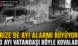 Çamlıhemşin'de Ayı Alarmı Büyüyor! Anne Ayı İki Yavrusu ile Vatandaşı Kovaladı