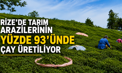 Rize’de Tarım Arazilerinin Yüzde 93’ünde Çay Üretiliyor