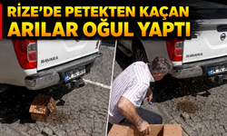 Rize'de Petekten Kaçan Arılar Otomobilin Altına Oğul Yaptı