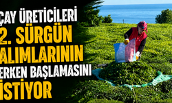 Çay Üreticileri 2. Sürgün Alımlarının Erken Başlamasını İstiyor
