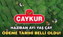 ÇAYKUR Haziran Ayı Yaş Çay Ödeme Tarihi Belli Oldu