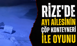 Rize'de Ayı Ailesinin Çöp Konteyneri İle Oyunu