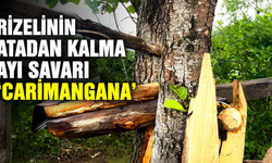 Rizelinin Atadan Kalma Ayı Savarı: 'Carimangana'