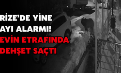 Rize'de Ayı Korkusu: Tavukları Telef Etti, Aile Tedirgin Oldu