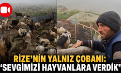 Rize'nin Yalnız Çobanı: "Sevgimizi Hayvanlara Verdik"