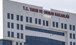 Tarım ve Orman Bakanlığı 1874 Sözleşmeli Personel Alacak! Detaylar Belli Oldu