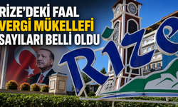 Rize'deki Faal Vergi Mükellefi Sayıları Belli Oldu