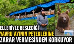Rize'de İlginç Olay: Bir Aydır Elleri İle Beslediği Ayının Zarar Vermesinden Korkuyor