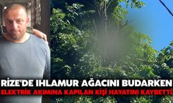 Rize'de Ihlamur Ağacını Budarken Elektrik Akımına Kapılan Kişi Hayatını Kaybetti