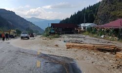 Artvin'de Sağanak Yağış Hayatı Olumsuz Etkiledi