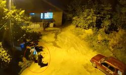 Ayının Sesini Duyunca Sırra Kadem Bastılar
