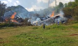 Artvin’de Köy Yangını: 2 Ev Alevlere Teslim Oldu