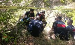 Koyunlarını Otlatmaya Giden Adam Cansız Bulundu
