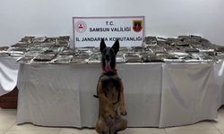 Samsun'da 132 Kilo Uyuşturucu Madde Ele Geçirildi