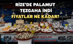 Rize’de Palamut Tezgaha İndi: Fiyatı Ne Kadar?