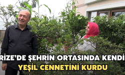Rize'de Şehrin Ortasında Kendi Yeşil Cennetini Kurdu