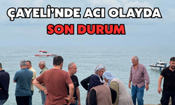 Çayeli'nde Son Durum: Kayıp Çocuğu Arama Çalışmaları Yeniden Başladı