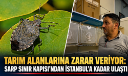 “Tarım Alanlarına Zarar Veriyor: Sarp Sınır Kapısı’ndan İstanbul’a Kadar Ulaştı”