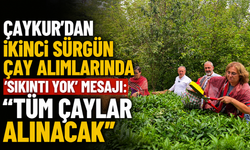 ÇAYKUR'dan İkinci Sürgün Çay Alımlarında 'Sıkıntı Yok' Mesajı: "Tüm Çaylar Alınacak