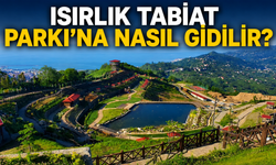 Rize Isırlık Tabiat Parkı’na Nasıl Gidilir? Yapılacak Aktiviteler Nelerdir?