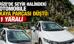Rize'de Seyir Halindeki Otomobile Kaya Parçası Düştü: 1 Yaralı