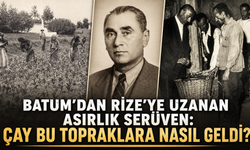 Batum’dan Rize’ye Uzanan Asırlık Serüven: Çay Bu Topraklara Nasıl Geldi?