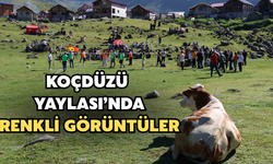 Koçdüzü Yaylası Renkli Görüntülere Sahne Oldu