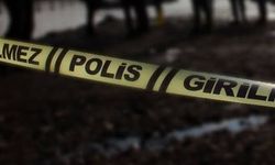 Giresun'da Yüksek Gerilim Hattı Çalışması Yapan Helikopter Düştü