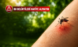 Sivrisinek Isırığı Ne Zaman Tehlikeli Olur? Bu Belirtileri Hafife Almayın