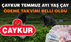Çaykur Temmuz Ayı Yaş Çay Ödeme Takvimi Belli Oldu