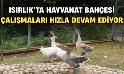 Isırlık'ta Hayvanat Bahçesi Çalışmaları Hızla Devam Ediyor