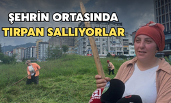 Rize’nin Göbeğinde Tırpan Sallıyorlar