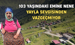 103 Yaşındaki Emine Nene Yayla Sevgisinden Vazgeçmiyor