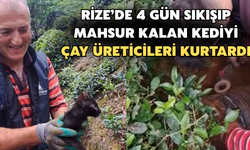 Rize'de Günlerdir Boru İçinde Sıkışan Kediyi Vatandaş Kurtardı