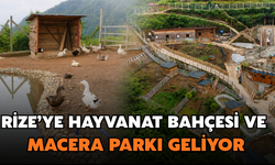 Rize'ye Butik Hayvanat Bahçesi Ve Macera Parkı Geliyor