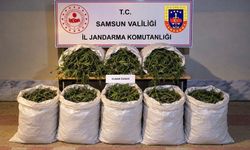 Samsun'da 63 Kilo Esrar Ele Geçirildi