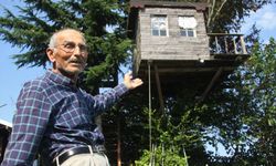 Torun Sevgisi 90 Yıllık Ağacı Eve Dönüştürdü